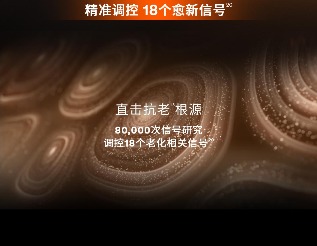 第六代 天游ty8线路测试中心人参霜